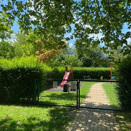 Sunshine Blue Zamardi